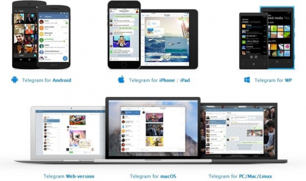 Как установить Telegram на компьютер? Настройка и использование