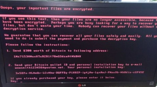 Как удалить или защититься от вируса вымогателя Petya?